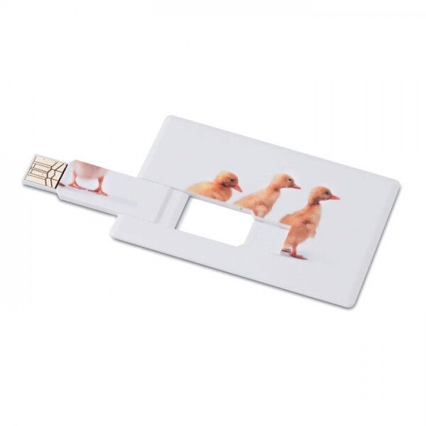 Memorama - Creditcard. USB flash 4GB