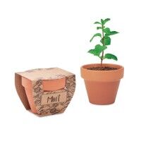 Mint Pot - Terrakotta-Topf Minze